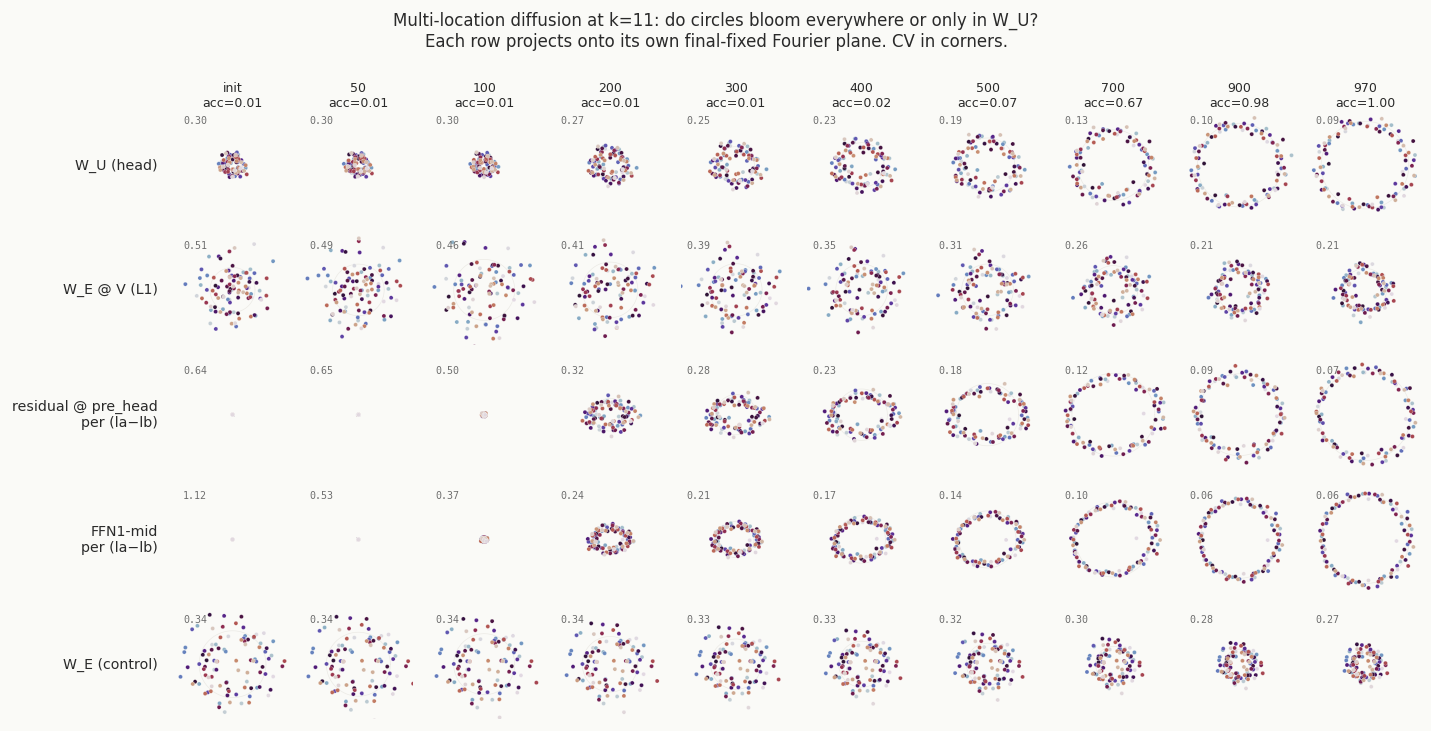 Five locations projected onto their own final Fourier-k=11 planes across training. FFN1-mid, residual stream, W_U, and W_E∘V all bloom into circles by the end of training. W_E (control) stays as random noise.